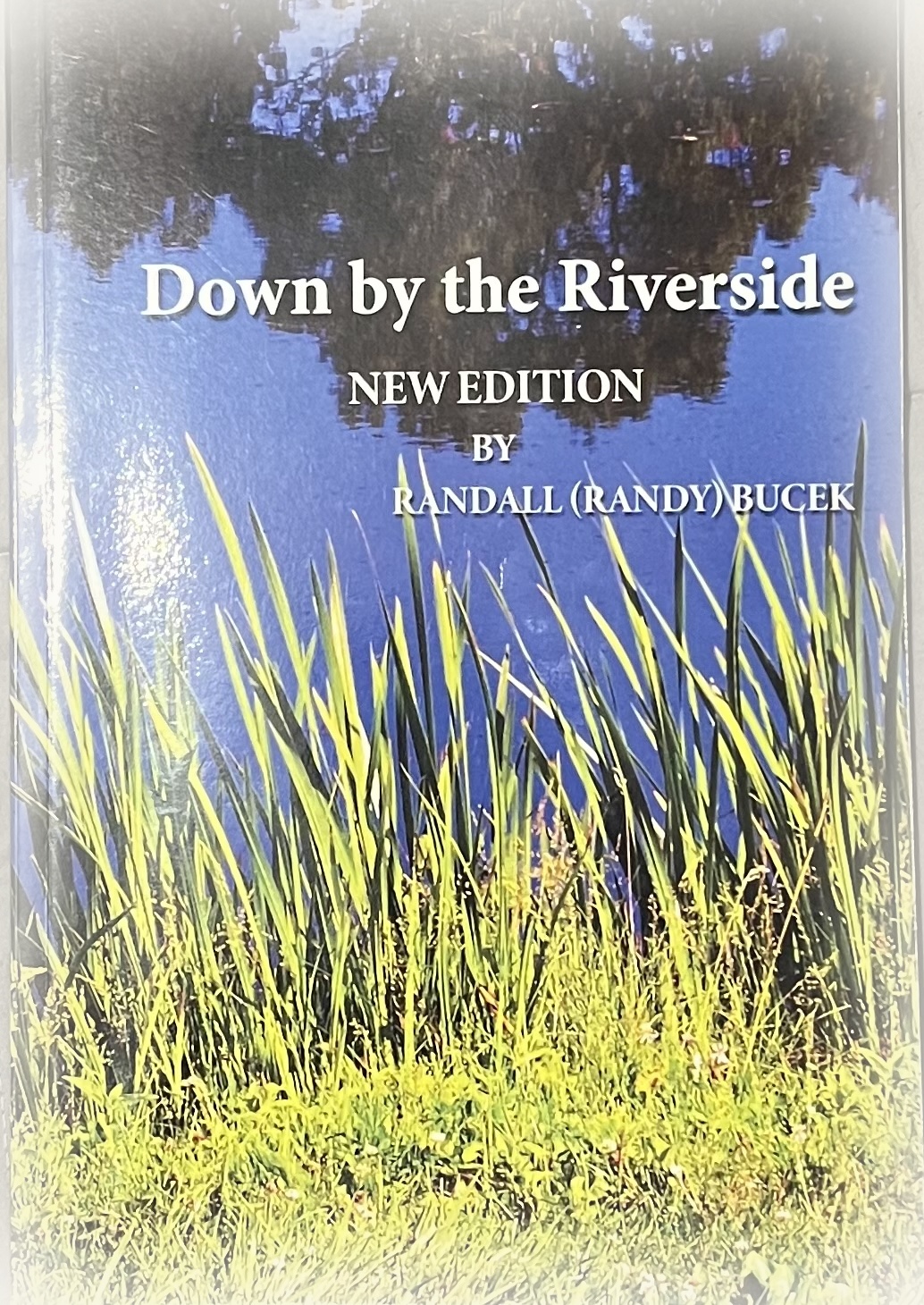 Down by the Riverside book cover