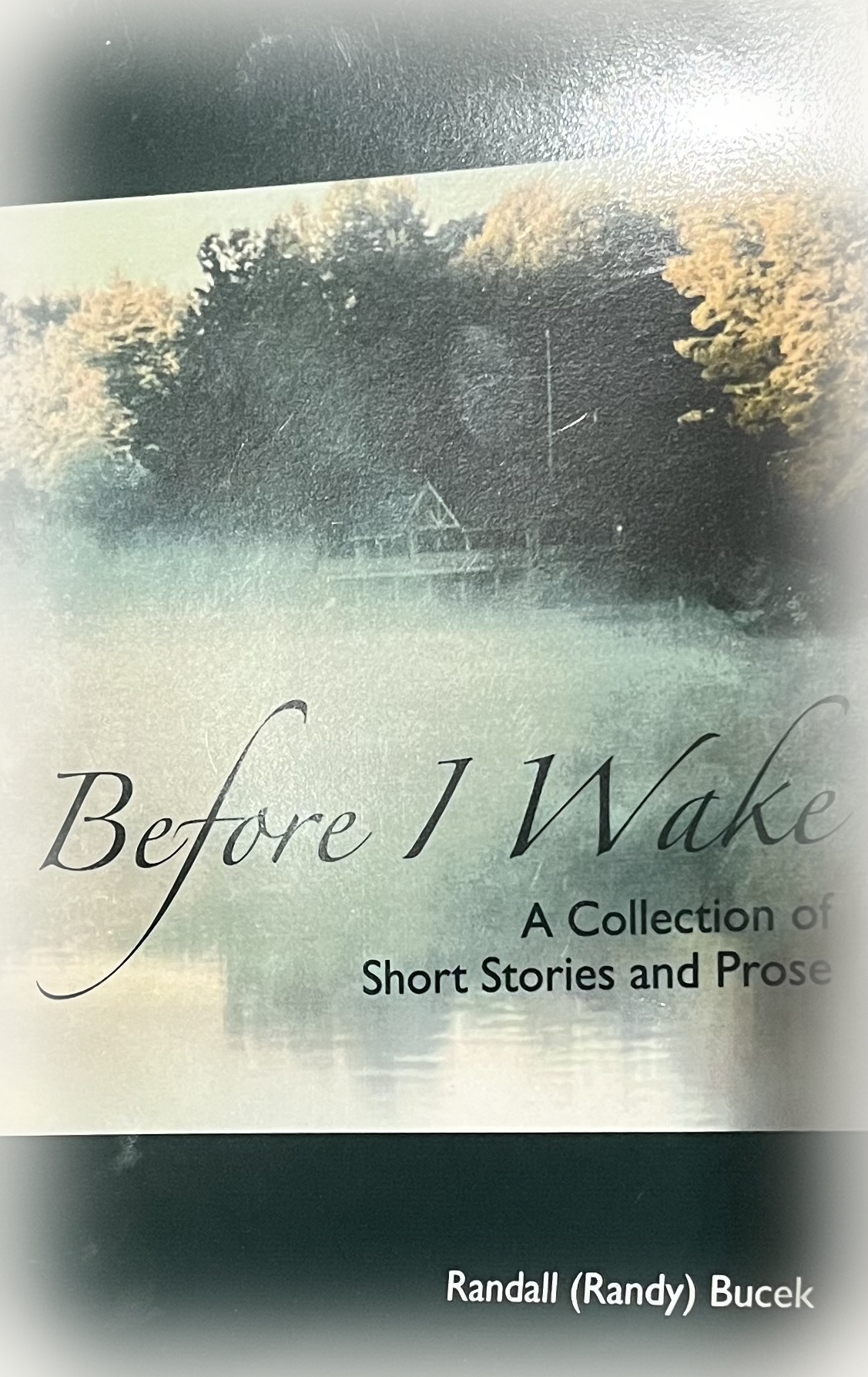 Before I Wake book cover