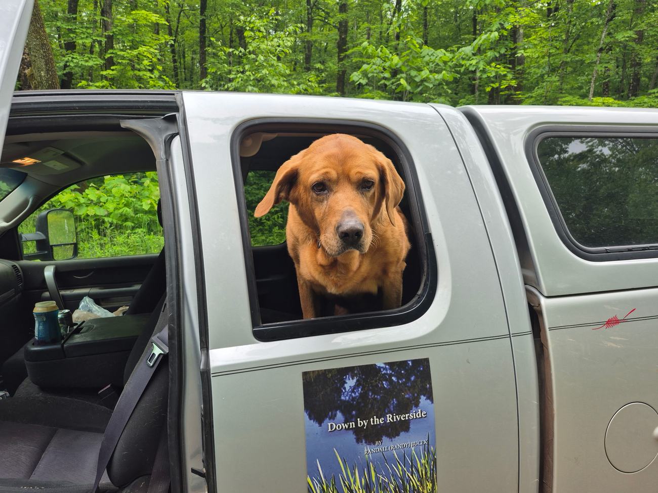 Cinnamon in Randy's truck on the road