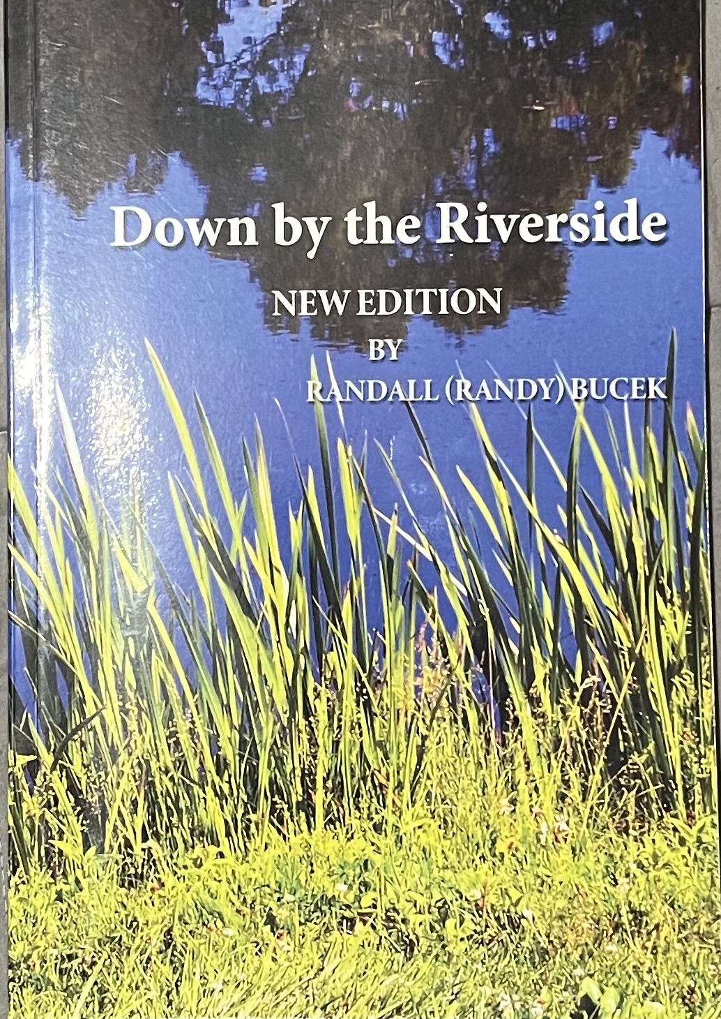 Down by the Riverside cover