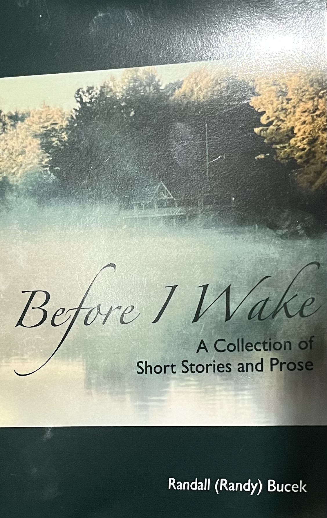 Before I Wake cover